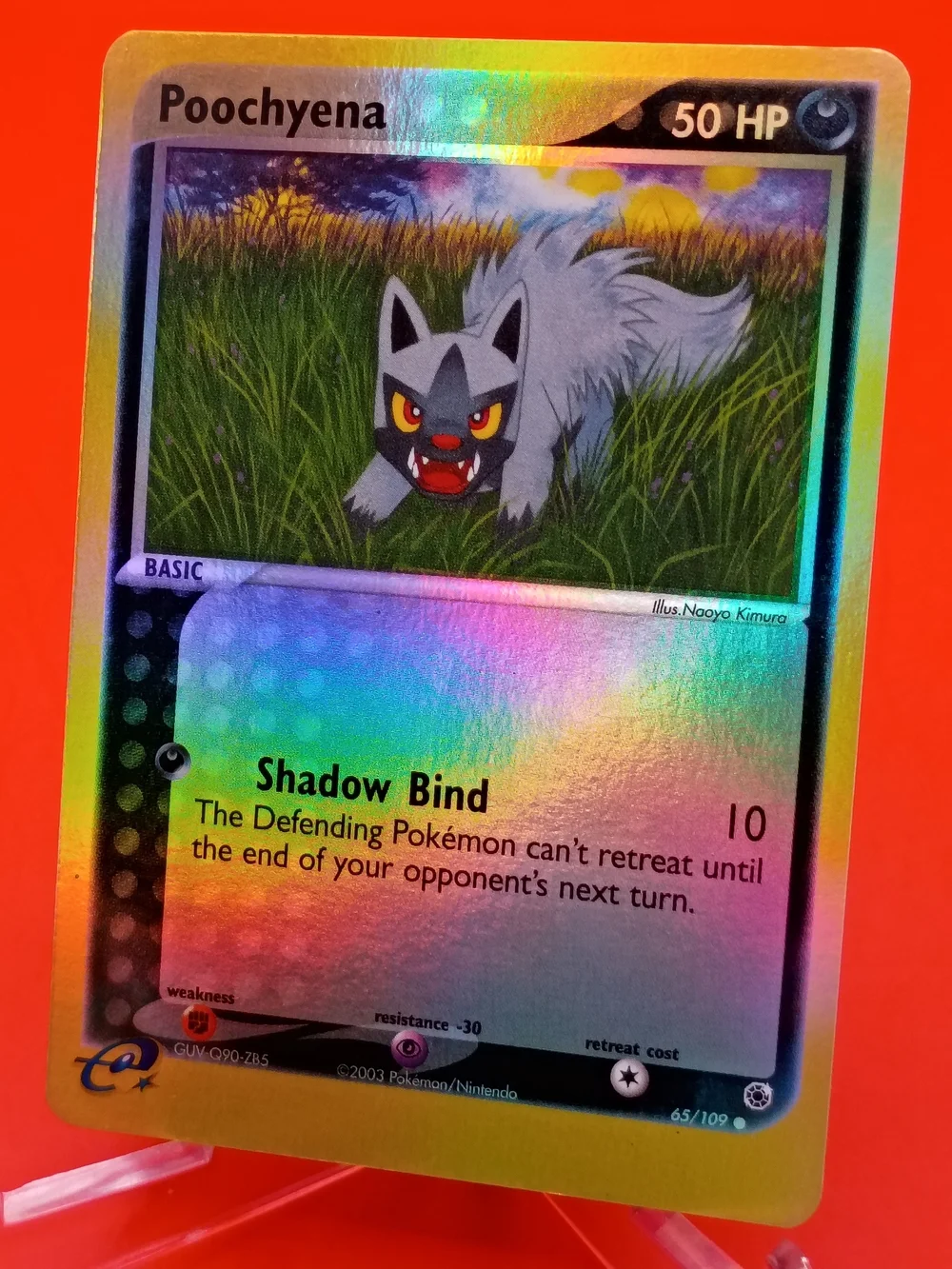 Poochyena Reverse Holo 65/109 EX Ruby & Sapphire E-Reader Series NM Pokémon